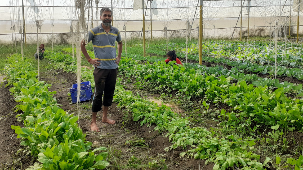 Organic Garden Practicals