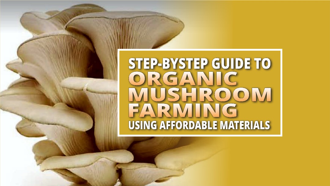 Organic Mushroom farming