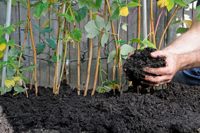 Compost Masterclass