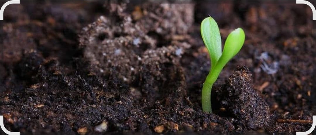 FERTILIZER PRODUCTION.