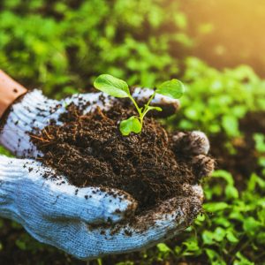 What is organic farming?