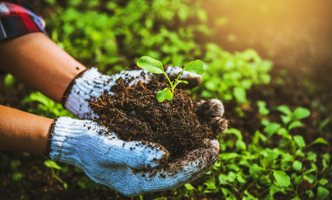 Introduction to Organic Farming